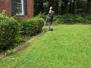 Bush Trimming by Kyle Bryant for Kathy C. in Greenville, SC