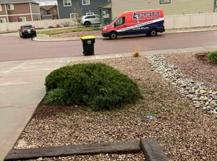 Bush Trimming by Thomas Parker for Tara O. in Fountain, CO