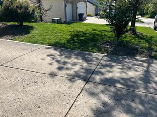 Timothy C.'s Lawn Mowing service result