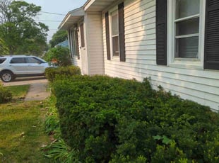 Bush Trimming by Theodore Bomba for Patrick M. in Grand Rapids, MI