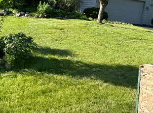 Landon W.'s Yard Cutting service result
