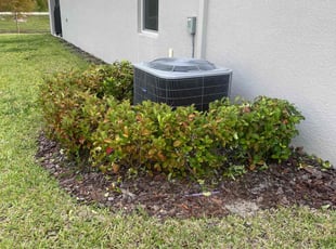Bush Trimming by Steven Swaggerty for william r. in Deltona, FL