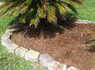 Weeding by Scott Wright for Jackson C. in Jacksonville, FL