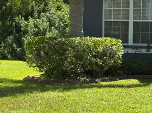 Jimmy F.'s Lawn Service service result