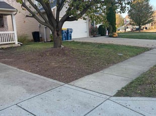 Leaf Removal by Gilberto GarcΓa for Willie W. in Indianapolis, IN