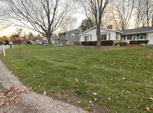 Cleanups by Mike Hite for Taryn E. in Grand Rapids, MI