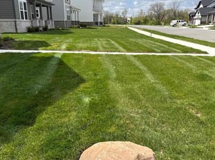 Deborah W.'s Lawn Maintenance service result