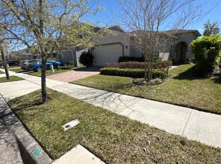 Lawrence M.'s Lawn Mowing service result