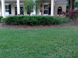 Cleanups by Kenneal Stewart for Amber W. in Tampa, FL
