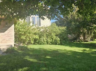 Bush Trimming by Joshua Funge for Rob S. in Sioux Falls, SD