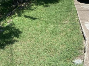 Ashley B.'s Lawn Service service result