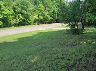 Leaf Removal by Bradley Rearden for Shawn M. in Midlothian, TX