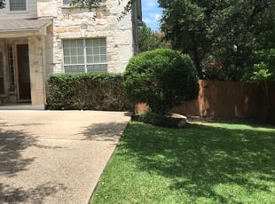 Bush Trimming by Stanmore Hinds for Jen D. in San Antonio, TX