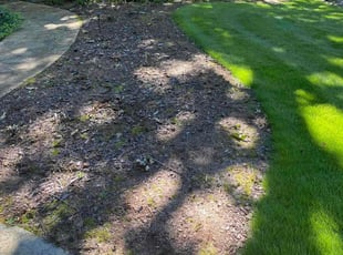 Weeding by Justin Monroe for Treena H. in Alpharetta, GA