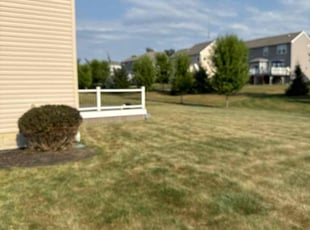 Bush Trimming by Hassan Hassan for Sagar V. in Strongsville, OH