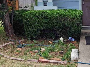Bush Trimming by James Maceo for Jason G. in Fort Worth, TX