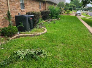 Bush Trimming by Noheli Diaz for Rosalyn W. in Colleyville, TX