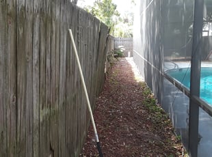 Leaf Removal by Robby Freedman for Stuart M. in Winter Park, FL