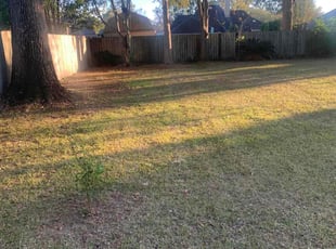 Leaf Removal by Derrick Cotton for Shelia G. in Baton Rouge, LA