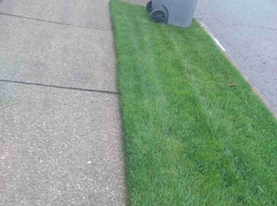 Tim M.'s Grass Cutting service result