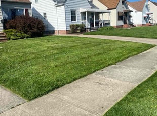 Laverne M.'s Lawn Maintenance service result