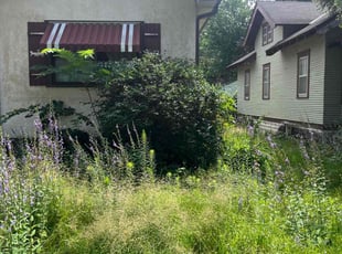 Bush Trimming by Tim Yocum for Joe P. in Minneapolis, MN