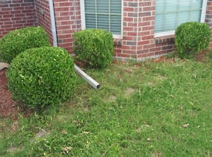 Bush Trimming by Josefina Lopez for Paris J. in Yukon, OK