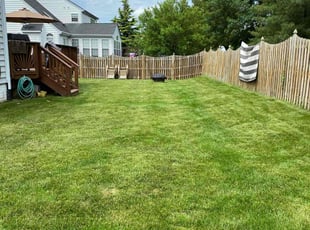 Michael M.'s Lawn Mowing Service service result