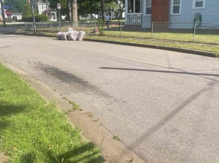Cleanups by Nicholas Harter for Dumo d. in Norfolk, VA