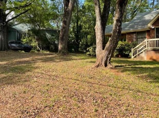 Cleanups by Onyeche Smith for Brett S. in Atlanta, GA
