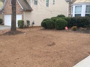 Leaf Removal by Frank Glass for Richard H. in Locust Grove, GA