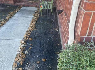 Weeding by Domingo Rosas for Christopher I. in Spring, TX