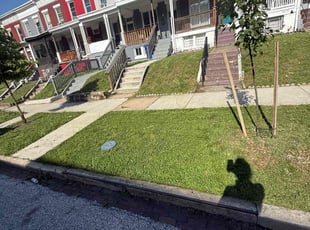 Cleanups by Samuel Jordon for Carol G. in Baltimore, MD