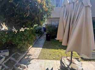 Cleanups by Caleb Peck for Demetria P. in San Diego, CA