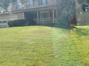 Bush Trimming by Conner Meadows for Trudi D. in Roswell, GA