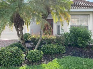 Bush Trimming by Robert Lee for Ivan S. in Venice, FL