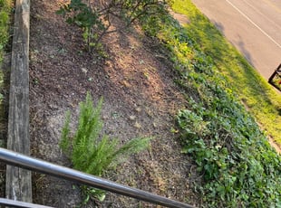 Cleanups by Jesus De Los Santos for Paul B. in Nashville, TN