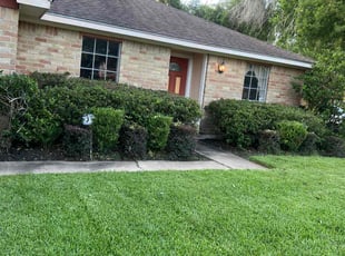 Bush Trimming by Keanu Reed for Anthony C. in Houston, TX