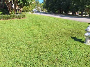 Valerie G.'s Grass Cutting service result
