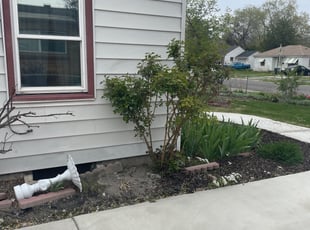Bush Trimming by Jacob Smith for Stephanie G. in Salt Lake CIty, UT