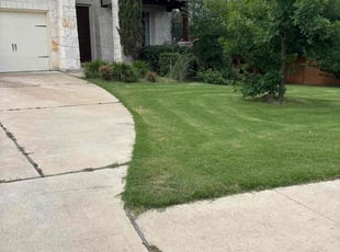 Bush Trimming by Kevin Robinson for Chad S. in Dripping Springs, TX