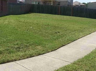Michael D.'s Grass Cutting service result