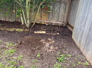 Bush Trimming by Hector Espinosa for Lennox W. in Pflugerville, TX