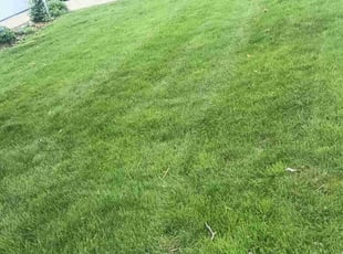 Larry E.'s Lawn Maintenance service result