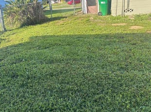 Cleanups by Yurleidy Jiménez for Kameron L. in Cocoa, FL