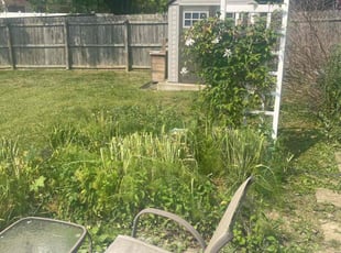 Weeding by Tristan Spradlin for Sami E. in Lexington, KY