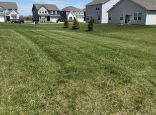 Patricia M.'s Lawn Care service result
