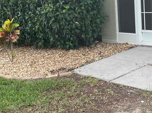 Weeding by Thomas Niederhelman for Alex D. in Brooksville, FL
