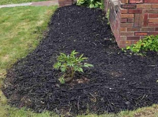 Mulching by Brett Dean for Zoretta T. in Akron, OH