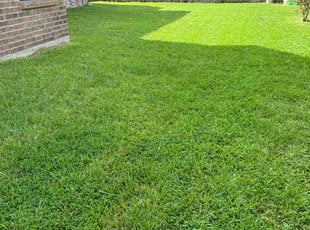 Willie Ruth S.'s Lawn Maintenance service result